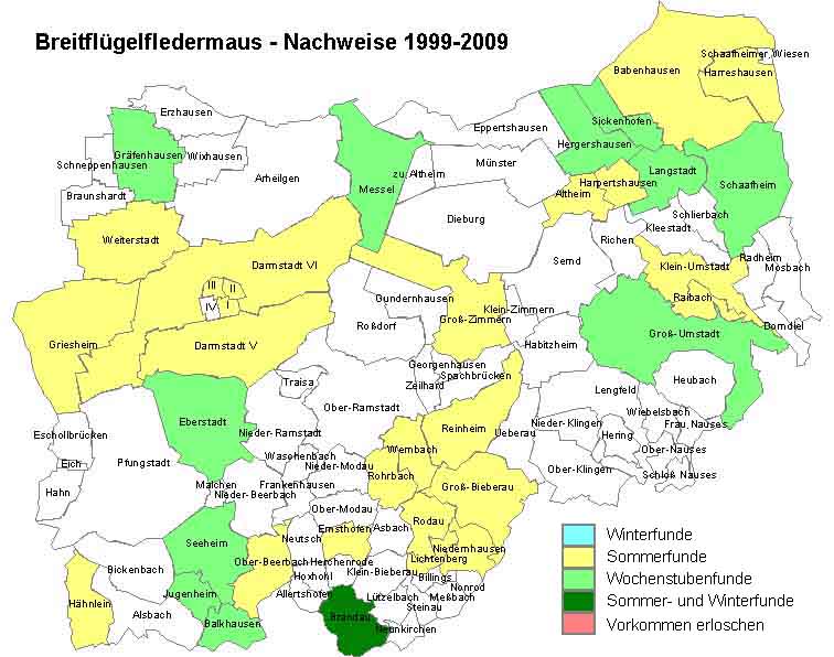 Breitflügelfledermaus Karte mit Nachweisen