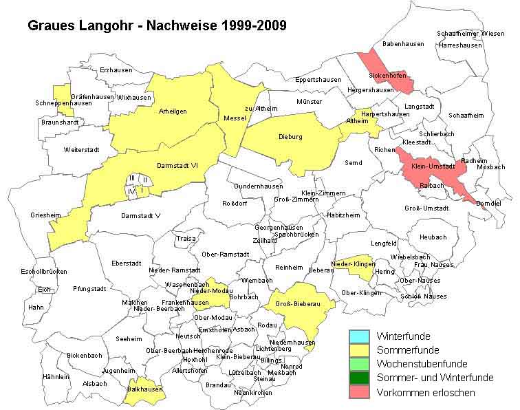 Graues Langohr Karte mit Nachweisen