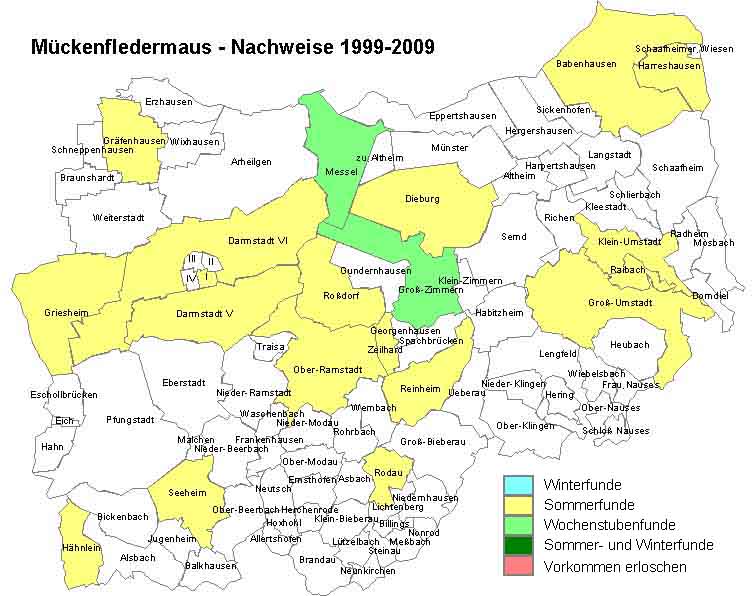 M�ckenfledermaus Karte mit Nachweisen