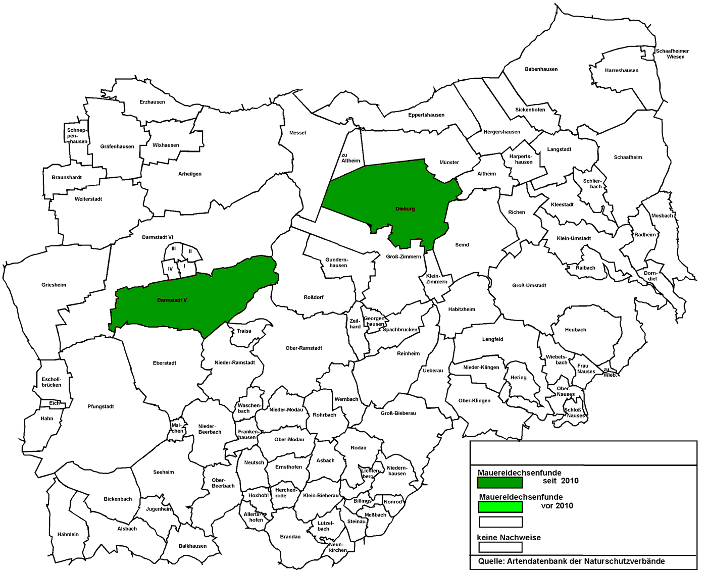 Mauereidechse Karte mit Nachweisen